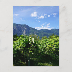 Carte Postale Vignoble sud de la Colombie-Britannique, Canada