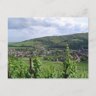 Carte Postale Vignobles d'Alsace
