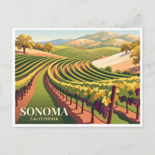 Carte Postale Vignobles de la vallée de Sonoma Californie