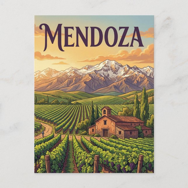 Carte Postale Vignobles de la vallée d'Uco (Devant)