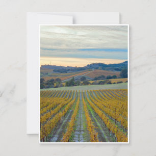 Carte Postale Vignobles en automne