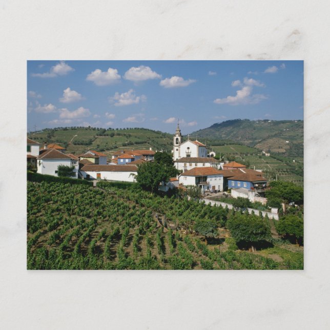Carte Postale Vignobles, Village de San Miguel, Douro (Devant)