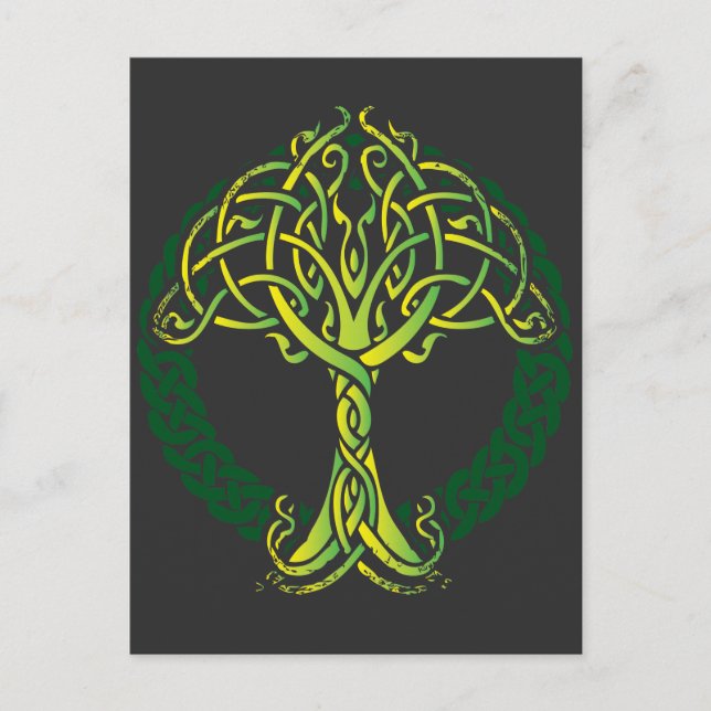 Carte Postale Viking Celtic Knotwork Arbre de vie (Devant)