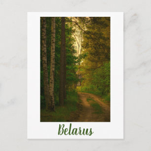 Carte Postale Village de la nature Cabane rurale Forêt Bélarus