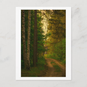 Carte Postale Village nature Campagne Forêt de hutte Biélorussie