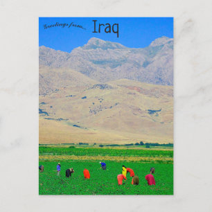 Carte Postale Villageois kurdes irakiens en Irak