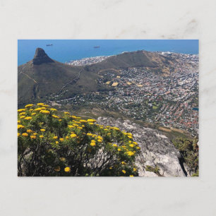 Carte Postale ville de cape