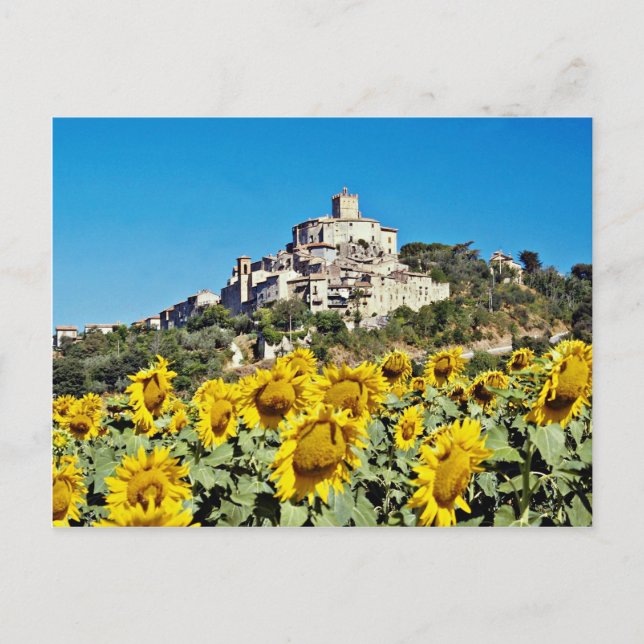 Carte Postale Ville de Narni, Ombrie, Italie fleurs (Devant)