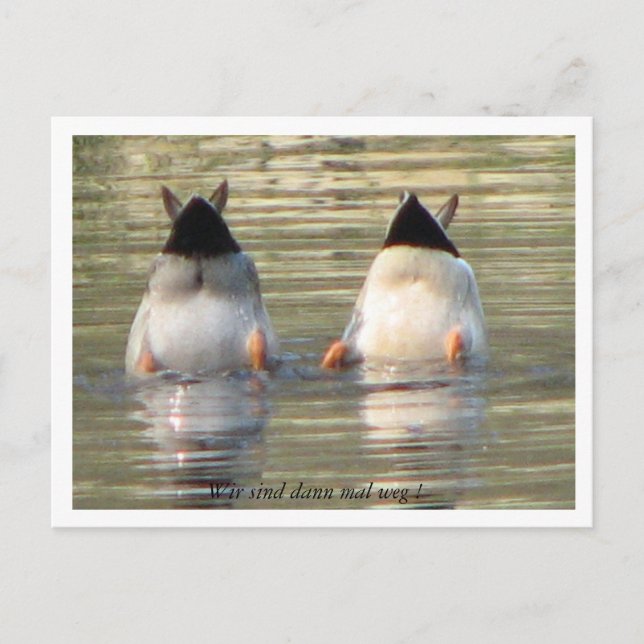 Carte Postale Vin à vent dann mal weg ! (Devant)