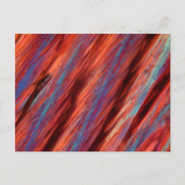 Carte Postale Vin au microscope - Pinotage (Devant)
