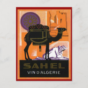Carte Postale Vin d'Algérie vintage, Vin Sahel, Algérie