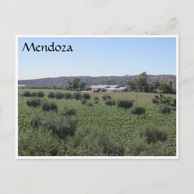 Carte Postale vin mendoza vert (Devant)