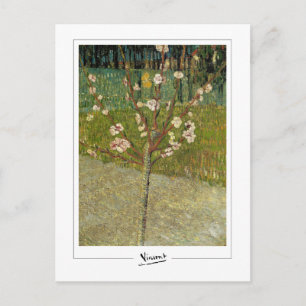 Carte Postale Vincent Van Gogh #14-3 - Beaux-Arts