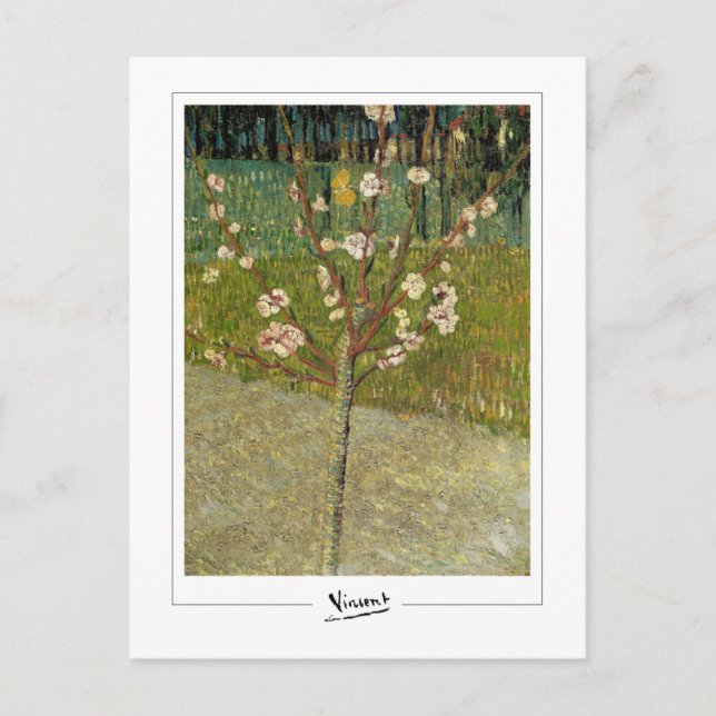 Carte Postale Vincent Van Gogh #14-3 - Beaux-Arts (Devant)