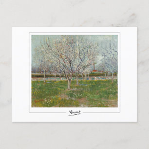 Carte Postale Vincent Van Gogh #20-3 - Art fine