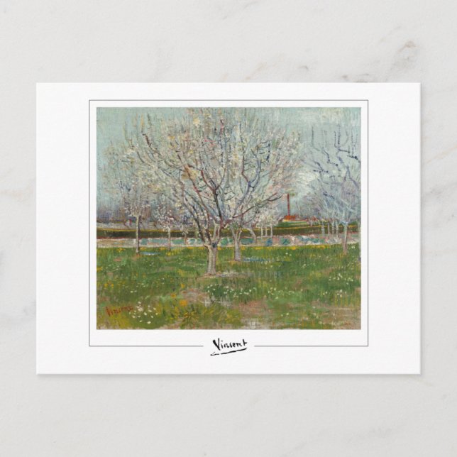 Carte Postale Vincent Van Gogh #20-3 - Art fine (Devant)