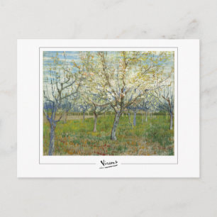 Carte Postale Vincent Van Gogh #44-2 - Beaux-Arts