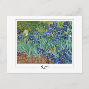 Carte Postale Vincent Van Gogh #45-3 - Beaux-arts