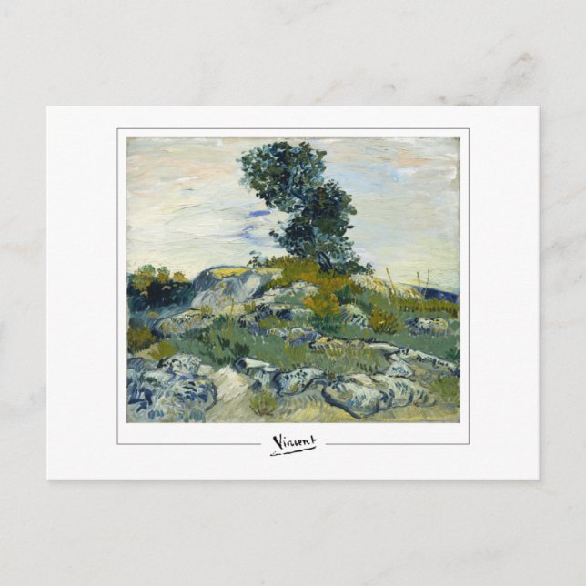 Carte Postale Vincent Van Gogh #53-2 - Beaux-Arts (Devant)