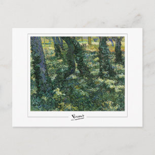Carte Postale Vincent Van Gogh #57-2 - Beaux-arts