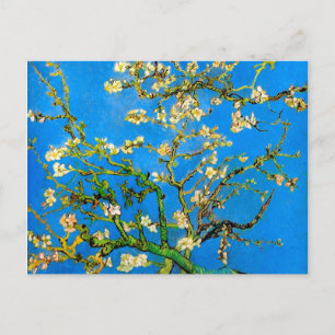 Carte Postale Vincent Van Gogh - Amandier en Fleurs Beaux-Arts