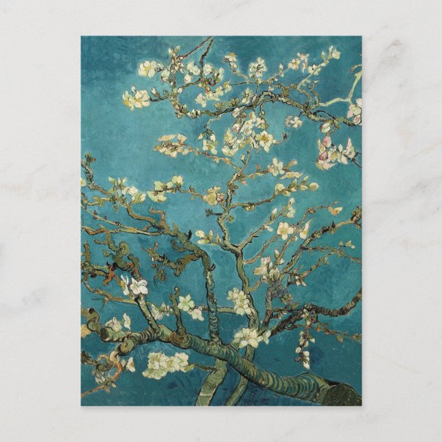 Carte Postale Vincent Van Gogh - Arbre d'amandiers en fleurs (Devant)