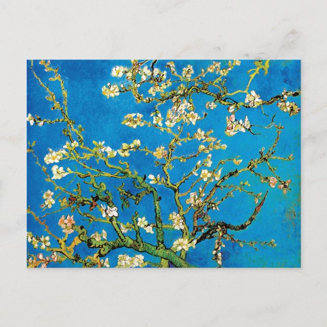 Carte Postale Vincent Van Gogh - Arbres aux amandes florissants (Devant)