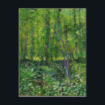 Carte Postale Vincent Van Gogh Arbres Et Sous-Croissance<br><div class="desc">Artiste : Vincent van Gogh Titre : Arbres et sous-bois Date : 1887 Médias : Toile,  Peinture à l'huile Style : Art moderne,  Post-impressionnisme Genre : Paysage</div>