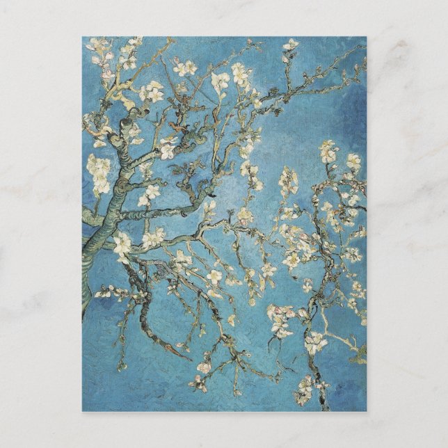 Carte Postale Vincent van Gogh | Branches d'amande en fleurs, 18 (Devant)