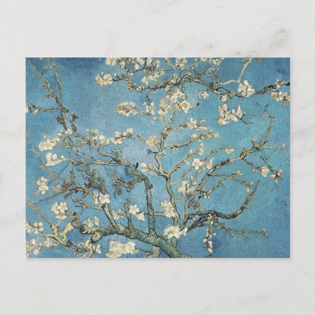 Carte Postale Vincent van Gogh | Branches d'amande en fleurs, 18 (Devant)