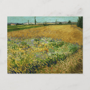 Carte Postale Vincent Van Gogh, Champ de blé, Korenveld