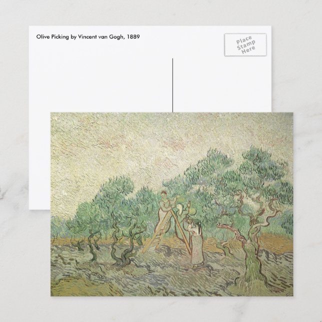 Carte Postale Vincent van Gogh - Cueillette des olives (Devant / Derrière)