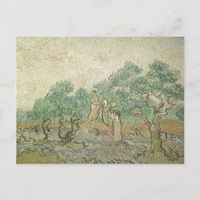 Carte Postale Vincent van Gogh - cueillette d'olives (Devant)