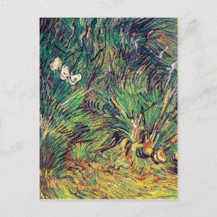 Carte Postale Vincent Van Gogh - Deux papillons blancs Beaux-Art
