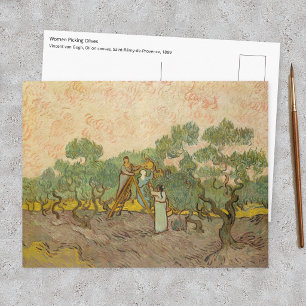 Carte Postale Vincent van Gogh - Femmes cueillant des olives