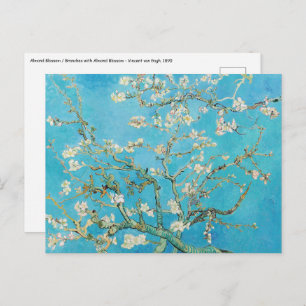 Carte Postale Vincent van Gogh - Fleur d'amandes