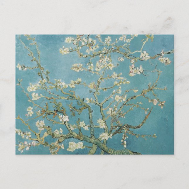 Carte Postale vincent van gogh, fleurs d'amandes (Devant)