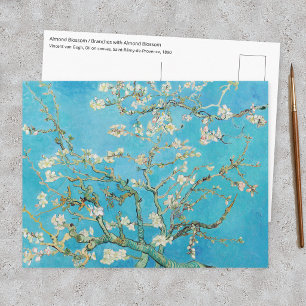 Carte Postale Vincent van Gogh - Floraison des amandiers