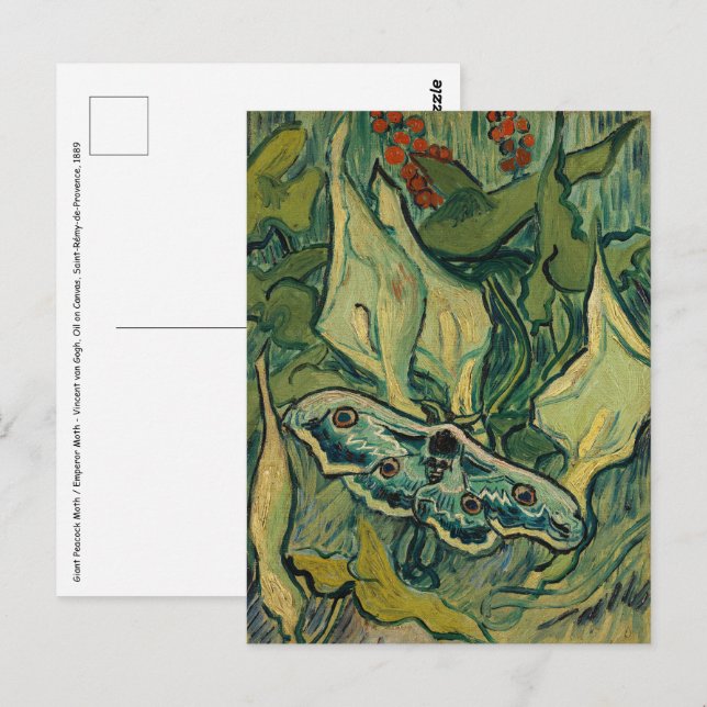 Carte Postale Vincent van Gogh - Giant Peacock Moth (Devant / Derrière)