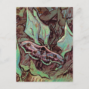 Carte Postale Vincent Van Gogh - Grand Paon de Nuit Beaux-Arts