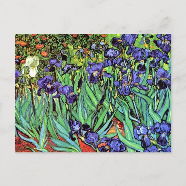 Carte Postale Vincent Van Gogh - Iris - Amoureux de Fleurs Beaux (Devant)