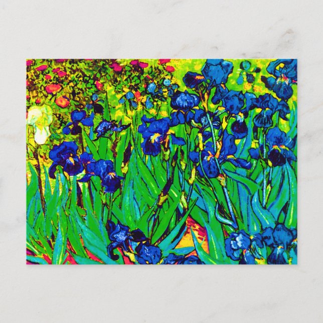 Carte Postale Vincent Van Gogh - Iris - Amoureux des Fleurs Pop  (Devant)