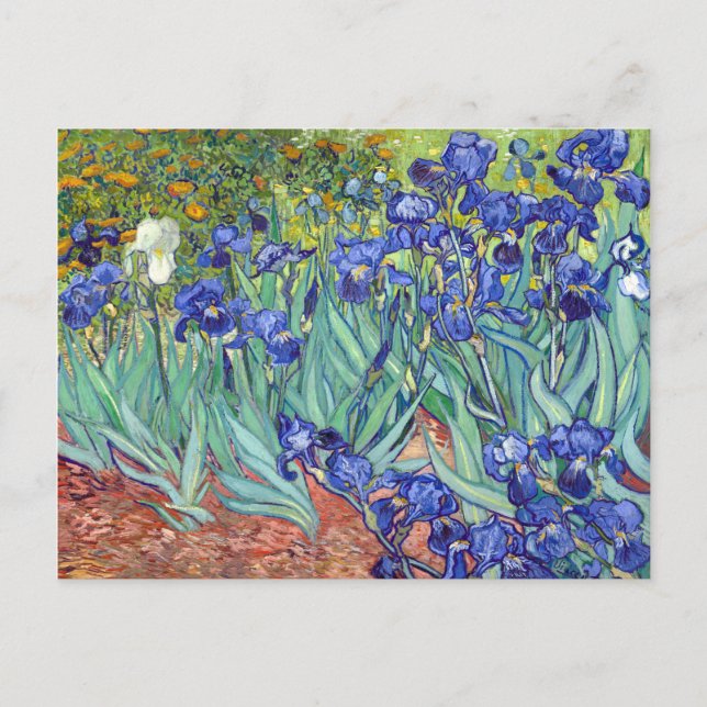 Carte Postale Vincent van Gogh Irises (Devant)