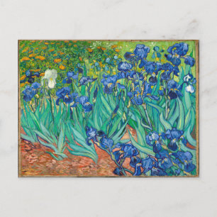 Carte Postale VINCENT VAN GOGH - Irises 1889