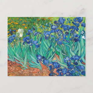 Carte Postale Vincent Van Gogh Irises Floral Art Vintage