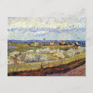Carte Postale Vincent Van Gogh - La Crau avec des pêchers en fle