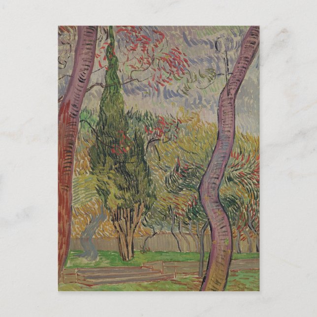 Carte Postale Vincent van Gogh | Le Parc du Saint-Paul (Devant)