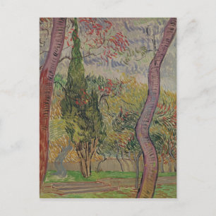 Carte Postale Vincent van Gogh Le Parc du Saint-Paul