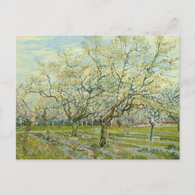 Carte Postale Vincent van Gogh - le verger blanc (Devant)