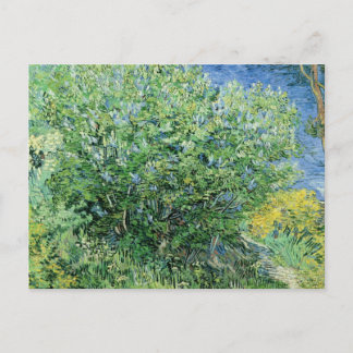 Carte Postale Vincent Van Gogh - Lilacs